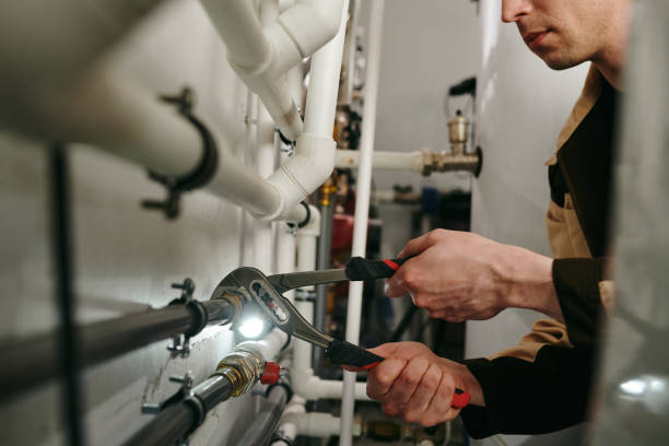 Best Affordable Plumber Near Me  in Venice Gardens, FL