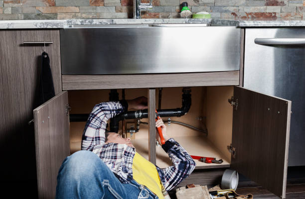 Best Affordable Plumbing Services  in Venice Gardens, FL